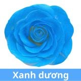 SƠN XỊT MÀU CHO HOA TƯƠI - PKK0045
