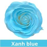 SƠN XỊT MÀU CHO HOA TƯƠI - PKK0045