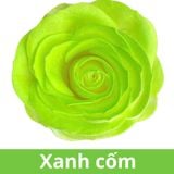 SƠN XỊT MÀU CHO HOA TƯƠI - PKK0045