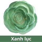 SƠN XỊT MÀU CHO HOA TƯƠI - PKK0045