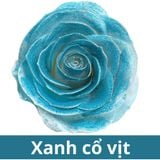 SƠN XỊT MÀU CHO HOA TƯƠI - PKK0045