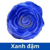SƠN XỊT MÀU CHO HOA TƯƠI - PKK0045