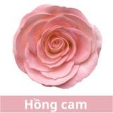 SƠN XỊT MÀU CHO HOA TƯƠI - PKK0045