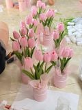 Hoa Tulip cao su non (1 cành) - HOG0011