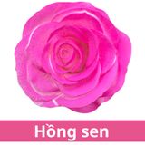 SƠN XỊT MÀU CHO HOA TƯƠI - PKK0045
