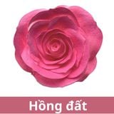 SƠN XỊT MÀU CHO HOA TƯƠI - PKK0045