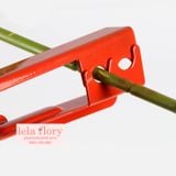 Tuốt gai hoa hồng - PKK0012