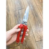 Kéo cắt cành lò xo màu đỏ - PKK0036
