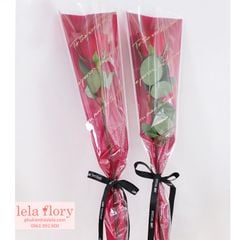 Túi 1 bông chữ chéo (1 xấp 30 cái) - GIA0046