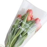 Giấy bóng kính trong suốt có chữ (1 xấp 20 tờ) - GIA0093