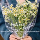 Giấy bóng kính trong suốt có chữ (1 xấp 20 tờ) - GIA0093