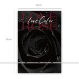 Giấy gói hoa hồng chữ Romantic Collector thấm nước (1 xấp 10 tờ) - GIA0098