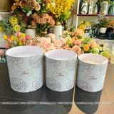 Hộp trụ tròn Fomex không quai cắm hoa tươi, hoa sáp, giỏ cắm hoa - GIO0003