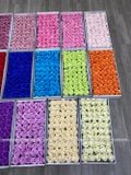 HOA SÁP THƯỜNG 3 LỚP (1 hộp 50 bông) - HHS0002