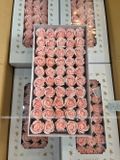 HOA SÁP THƯỜNG 3 LỚP (1 hộp 50 bông) - HHS0002