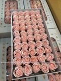 HOA SÁP THƯỜNG 3 LỚP (1 hộp 50 bông) - HHS0002