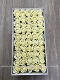 HOA SÁP THƯỜNG 3 LỚP (1 hộp 50 bông) - HHS0002