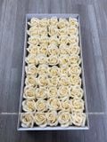 HOA SÁP THƯỜNG 3 LỚP (1 hộp 50 bông) - HHS0002