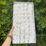 Hoa Phăng sáp (hộp 50 bông) - HHS0005