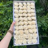 Hoa Phăng sáp (hộp 50 bông) - HHS0005