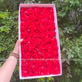 Hoa Thủy Tiên sáp (hộp 50 bông) ảnh shop tự chụp - HHS0007