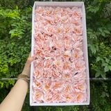 Hoa Thủy Tiên sáp (hộp 50 bông) ảnh shop tự chụp - HHS0007