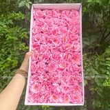 Hoa Thủy Tiên sáp (hộp 50 bông) ảnh shop tự chụp - HHS0007