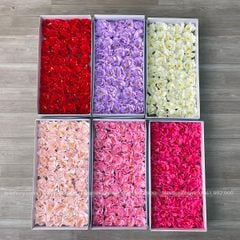 Hoa Thủy Tiên sáp (hộp 50 bông) ảnh shop tự chụp - HHS0007