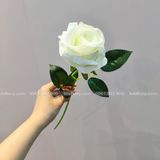 Cành Hoa Hồng Nhung Cao Cấp Nhiều Màu - HOG0001