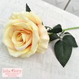 Cành Hoa Hồng Nhung Cao Cấp Nhiều Màu - HOG0001