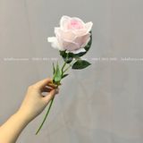 Cành Hoa Hồng Nhung Cao Cấp Nhiều Màu - HOG0001
