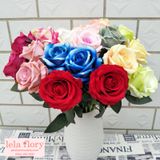 Cành Hoa Hồng Nhung Cao Cấp Nhiều Màu - HOG0001