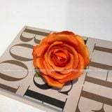 Đầu Bông Hoa Hồng Nhung Cao Cấp Nhiều Màu - HOG0004