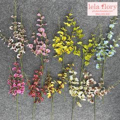 Cành hoa Lan Vũ Nữ - HOG0005