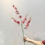 Cành hoa Lan Vũ Nữ - HOG0005