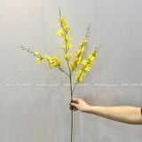 Cành hoa Lan Vũ Nữ - HOG0005