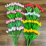 Hoa Tulip cao su non (1 cành) - HOG0011