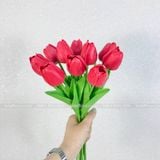 Hoa Tulip cao su non (1 cành) - HOG0011