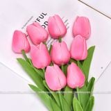 Hoa Tulip cao su non (1 cành) - HOG0011