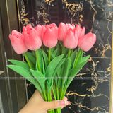 Hoa Tulip cao su non (1 cành) - HOG0011
