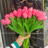 Hoa Tulip cao su non (1 cành) - HOG0011