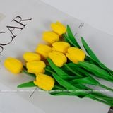 Hoa Tulip cao su non (1 cành) - HOG0011