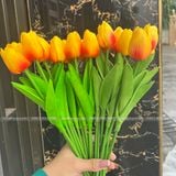 Hoa Tulip cao su non (1 cành) - HOG0011
