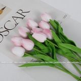 Hoa Tulip cao su non (1 cành) - HOG0011