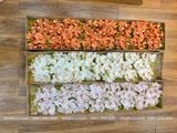 Cành Lan Hồ Điệp cao su 5 bông nhân tạo trang trí, hoa cao su - HOG0014
