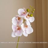 Cành Lan Hồ Điệp cao su 5 bông nhân tạo trang trí, hoa cao su - HOG0014