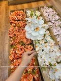 Cành Lan Hồ Điệp cao su 5 bông nhân tạo trang trí, hoa cao su - HOG0014