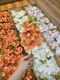 Cành Lan Hồ Điệp cao su 5 bông nhân tạo trang trí, hoa cao su - HOG0014