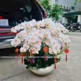 Cành Lan Hồ Điệp vải 9 bông cánh xoăn 3D, hoa lụa cao cấp - HOG0015