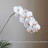 Cành Lan Hồ Điệp vải 9 bông cánh xoăn 3D, hoa lụa cao cấp - HOG0015